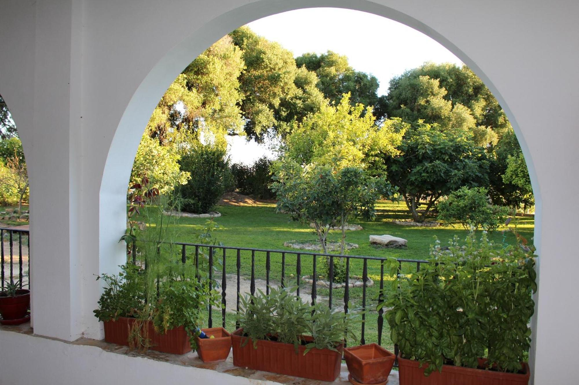Cortijo El Indiviso Guest House Vejer de la Frontera Ruang foto