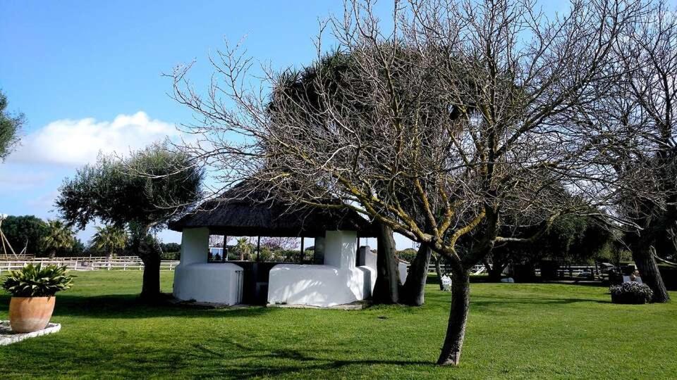 Cortijo El Indiviso Guest House Vejer de la Frontera Bagian luar foto